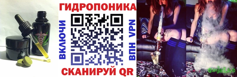 Cannafood конопля  MEGA вход  Шахты 