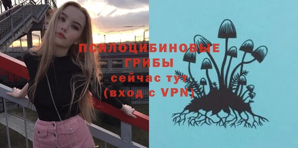 марки nbome Богданович