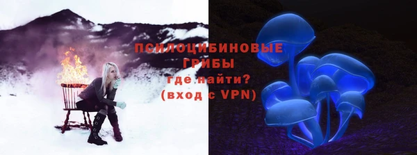 прущий лед Богородицк
