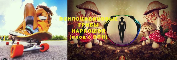 ПСИЛОЦИБИНОВЫЕ ГРИБЫ Бугульма
