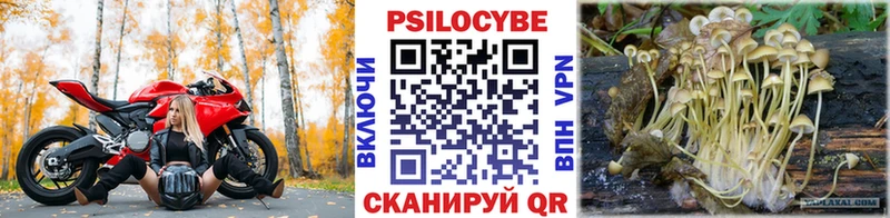 Галлюциногенные грибы мухоморы  Шахты 